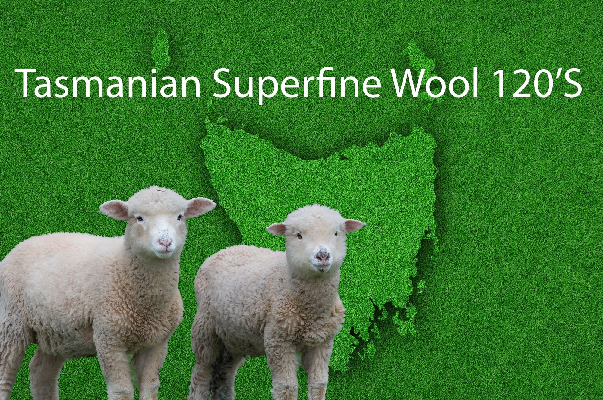 Superfine Tasmanian Wool Suits